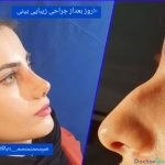 نمونه کارهای دکتر سمیه معین