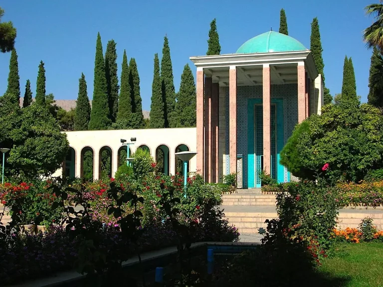 بهترین جراح شکستگی بینی در شیراز